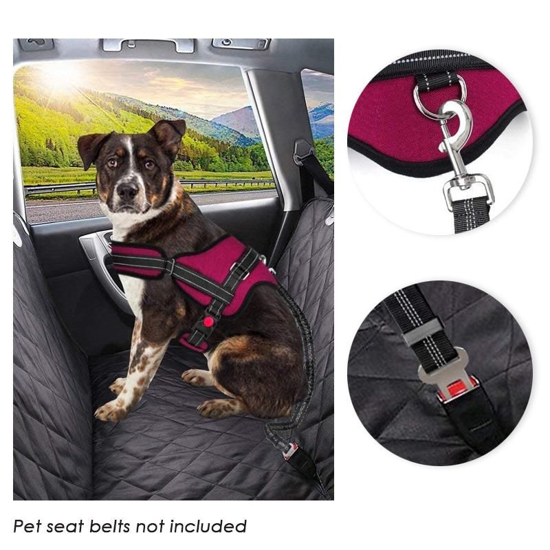 No Pull Dog Harness Vest Adjustable Neck and Chest Strap Padded Halter Vest Top Handle Harness Locker Designers Dog Harness