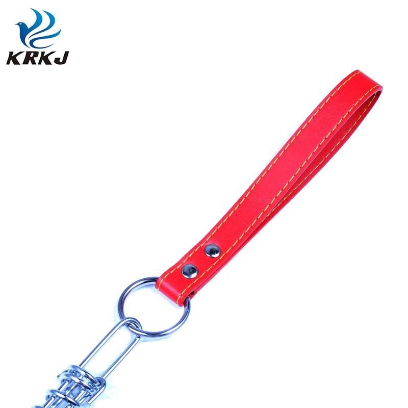 Wear-Proof New Style Anti Slip PU Handle Adult Dog Thick Designer Leash with Spring