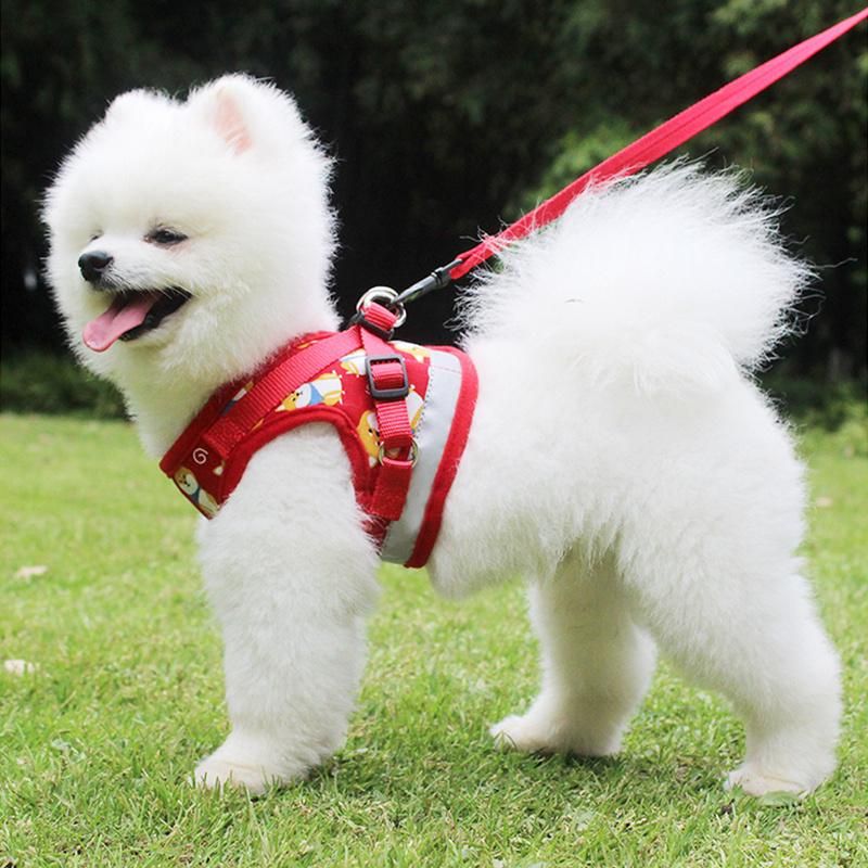 Cute Pet Casual Wear Clothes Poodle Teddy Bichon Schnauzer Small Dogs Clothing