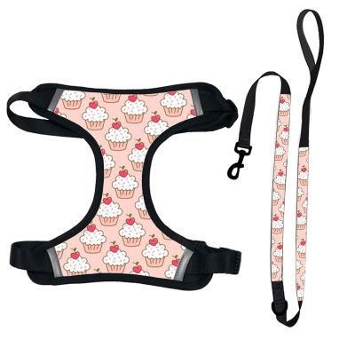 Premium Adjustable Pet Soft Vest Reflective Front Range No Pull Dog Harness Set