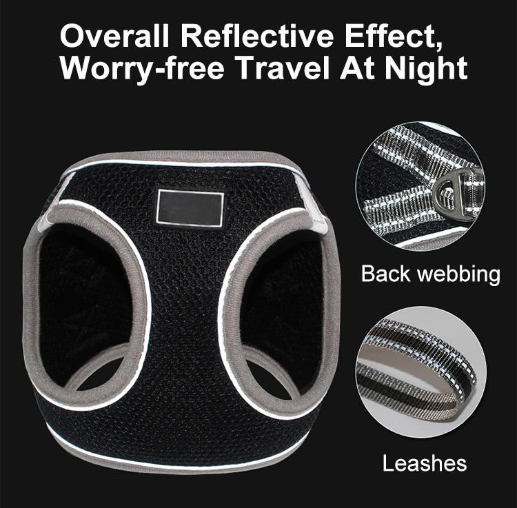Customized Personalized Printing Reflective, Breathable Adjustable Hands Free Pet Harness