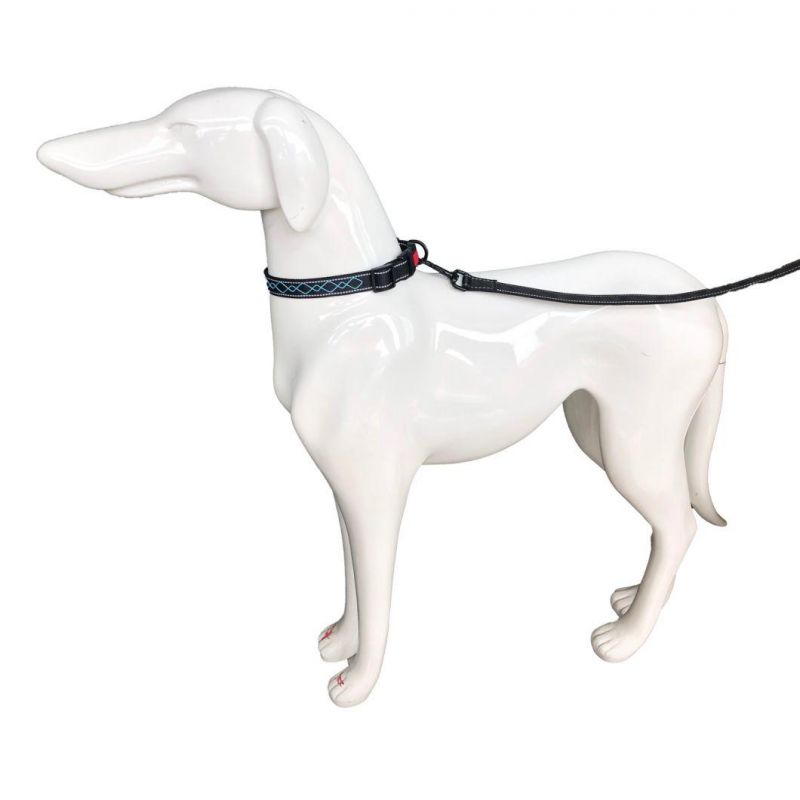 Safety LED Dog Collar and Leash Hot Sales in 2022 LED Collar Dog