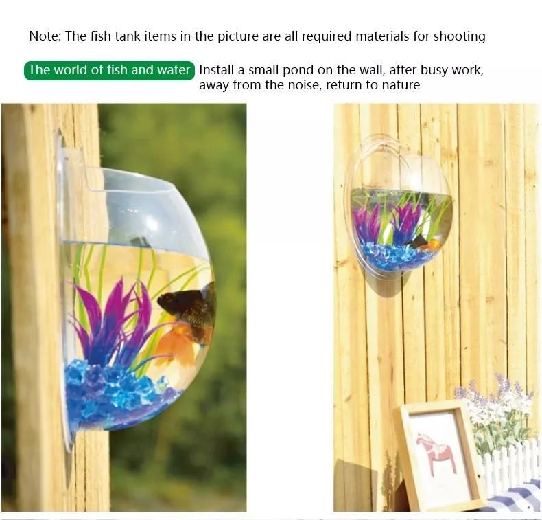 The Latest Design Acrylic Fish Tank Can Be Hung