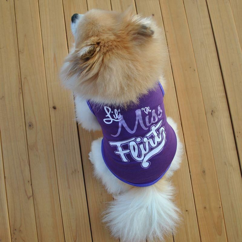 Fast-Dry Instant Cooling Pet Shirts Cute Puppy Dog Cat T-Shirt Tank Summer Clothes Cooling Ice Vest for Dogs