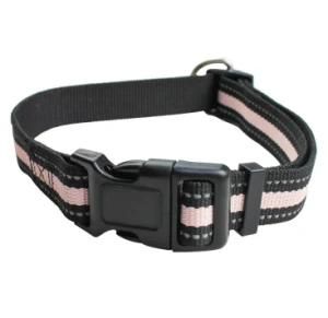 Low-Cost Nylon Dog Collar