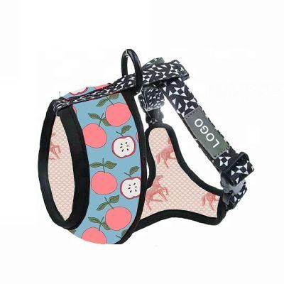High Quality Customize Art Pattern Colorful Dog Harness/Color Dog/Colored Leash for Dogs