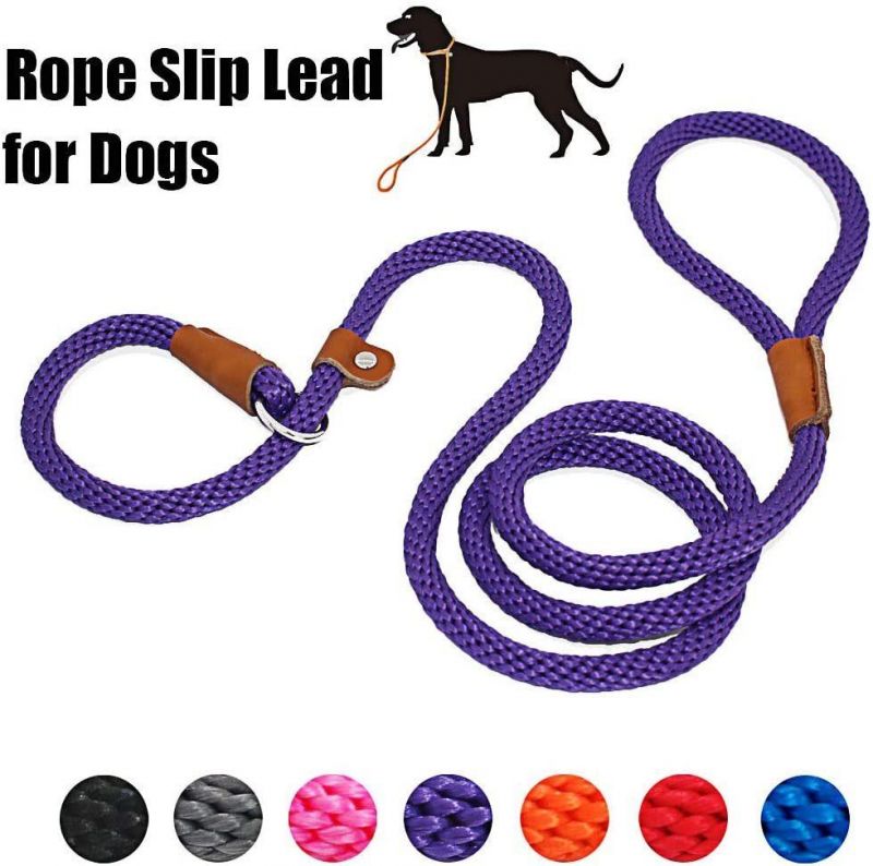 Dog Leash Slip Rope Lead Leash Strong Heavy Duty Braided Rope No Pull Training Lead