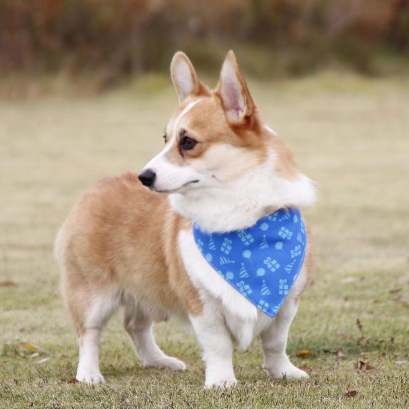 Durable Adjustable Dog Bandana Pet Supply Anhui