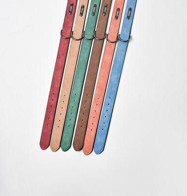 Wholesale Portable Zinc Alloy Buckle Red Blue Green Color Cat Dog Collar Leash