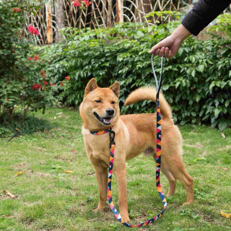 2022 Fashion Custom Dog Luxury Collar Fit All Size Dogs Fashion Perros Harness Pet Products Collar and Leash Set Pet Dog Leash