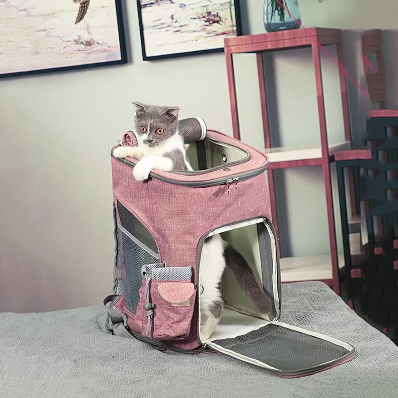 Fashion Tote Leisure Folding Breathable Outdoor Travel Pet Cat Bag