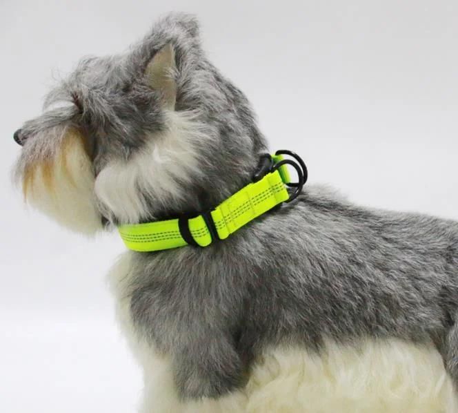 Night Reflective Double D-Ring Plastic Buckle Durable Nylon Dog Collar