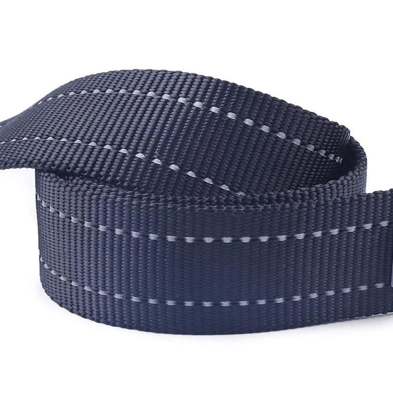 Hot Selling Custom Logo Color Neoprene Padded Short Reflective Nylon Dog Leash for Dog Pet Walking Training