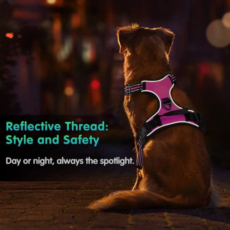 Custom Reflective & Breathable Sturdy Dog Harness