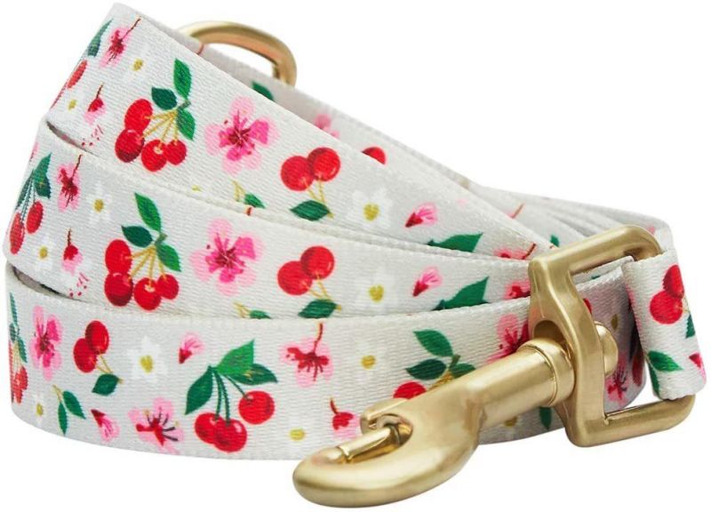 Strong with Comfortable Reflective Rope - Padded Handle Durable Dog Leash