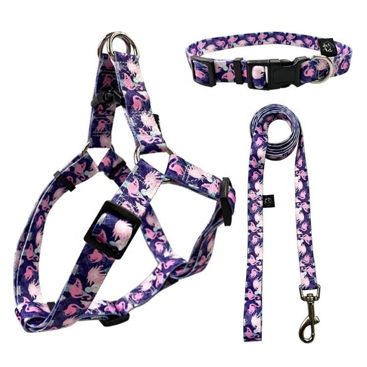 High Quality Comfort 2 in 1 Sublimation Dog Harness with Matching Dog Collar Leash Set