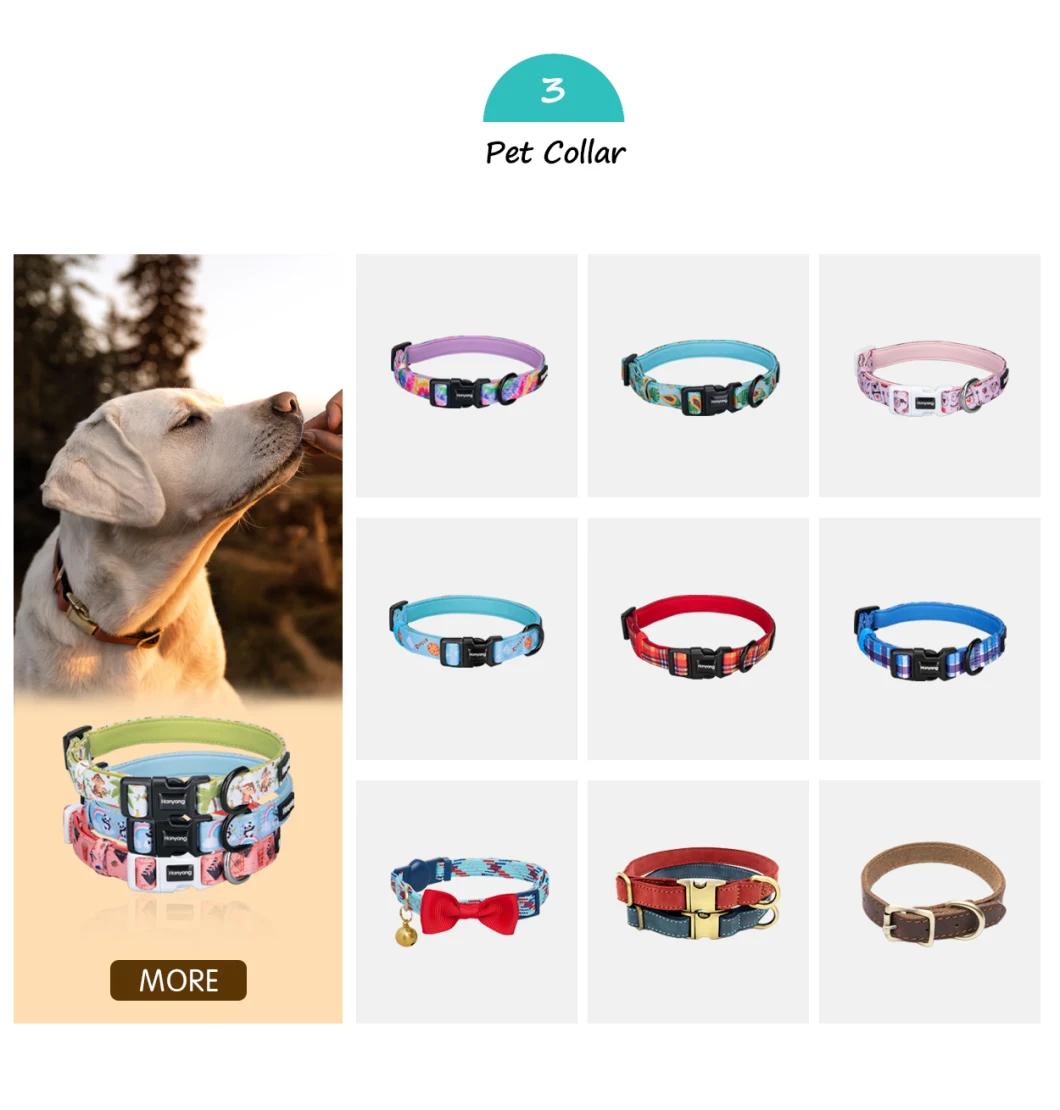 OEM Manufacturer Wholesale Polyester Webbing Padded Handle Pet Accessories Pet Dog Leash