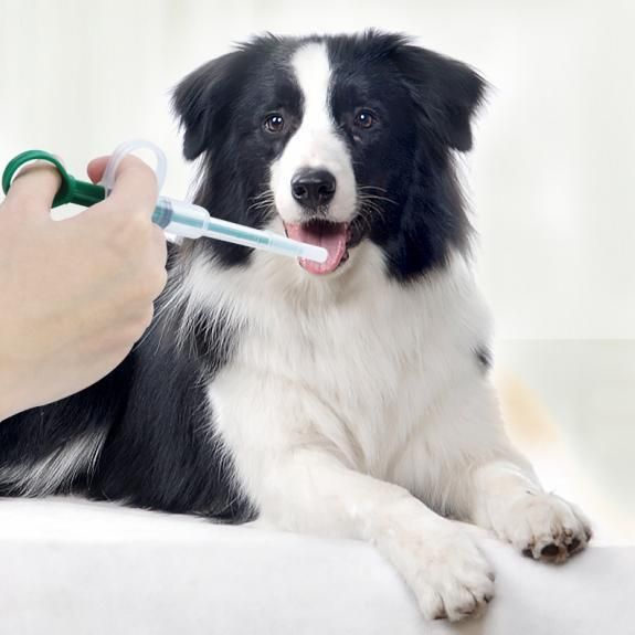 Dog Drug Feeder Veterinary Drug Feeder Pet Medicine Feeder