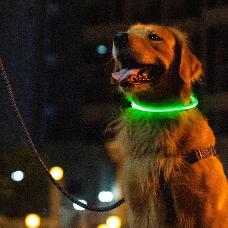 Cuttable Water-Resistant LED Silicone Dog Collar From Direct Factory