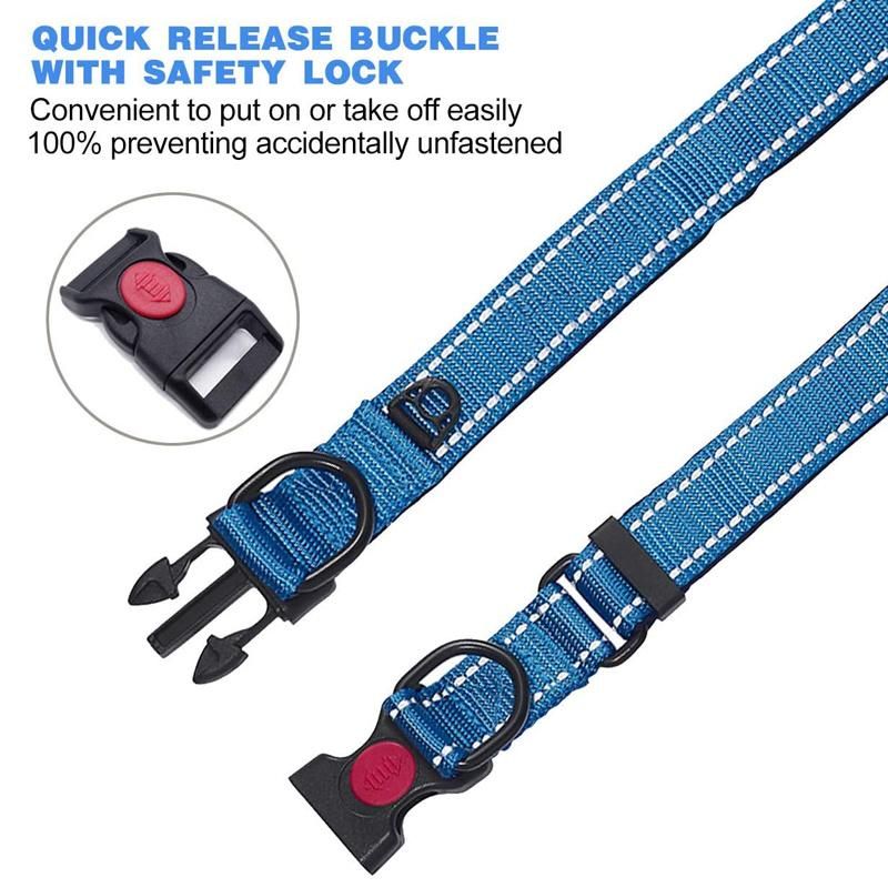 Neoprene Padded Comfortable Reflective Adjustable Nylon Dog Collar and Leash