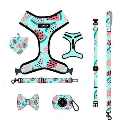 Wholesales Custom Comfortable Pet Leash Walking Dog Harness Set