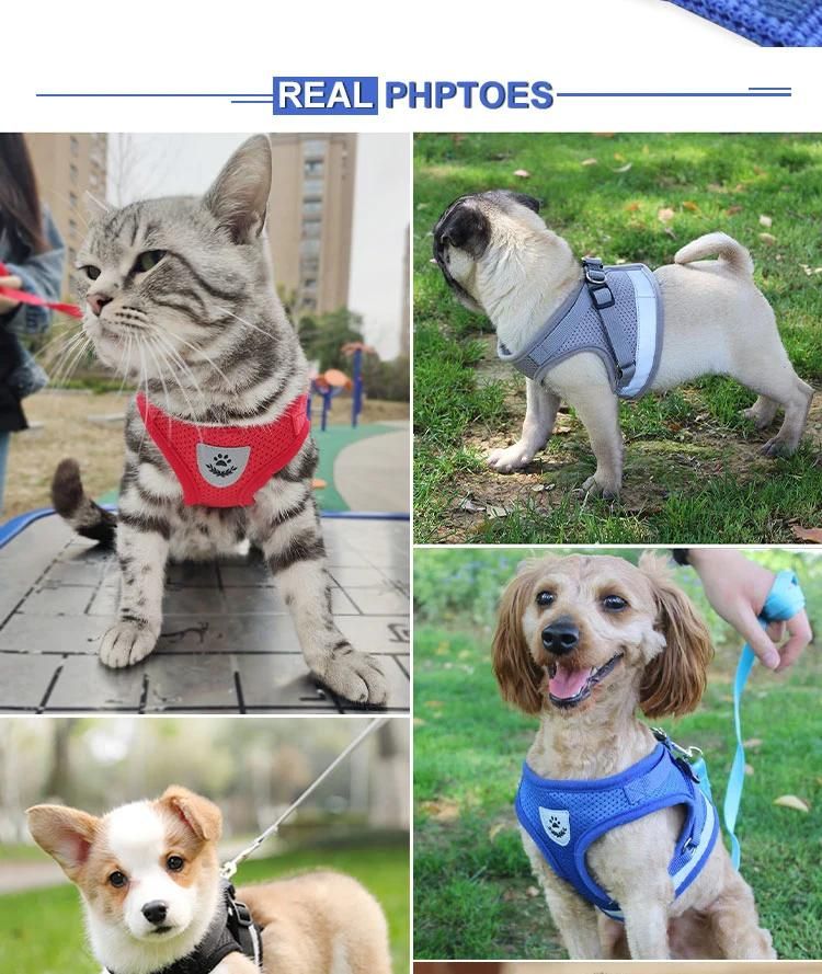 Wholesale 2021 New Pet Dog Harness Fashion Soft Mesh Padded Pets Leash Vest with Rope for Small and Medium Dogs Drop Shipping