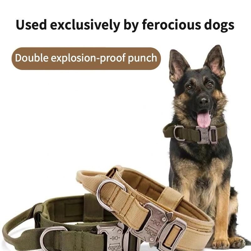Medium Large Pet Metal Buckle Adjustable Nylon Tactical Dog Training Collar with Control Handle