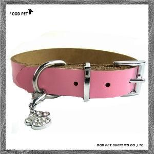 Simple But Quality Cow Leather Dog Collar (SPC7018)