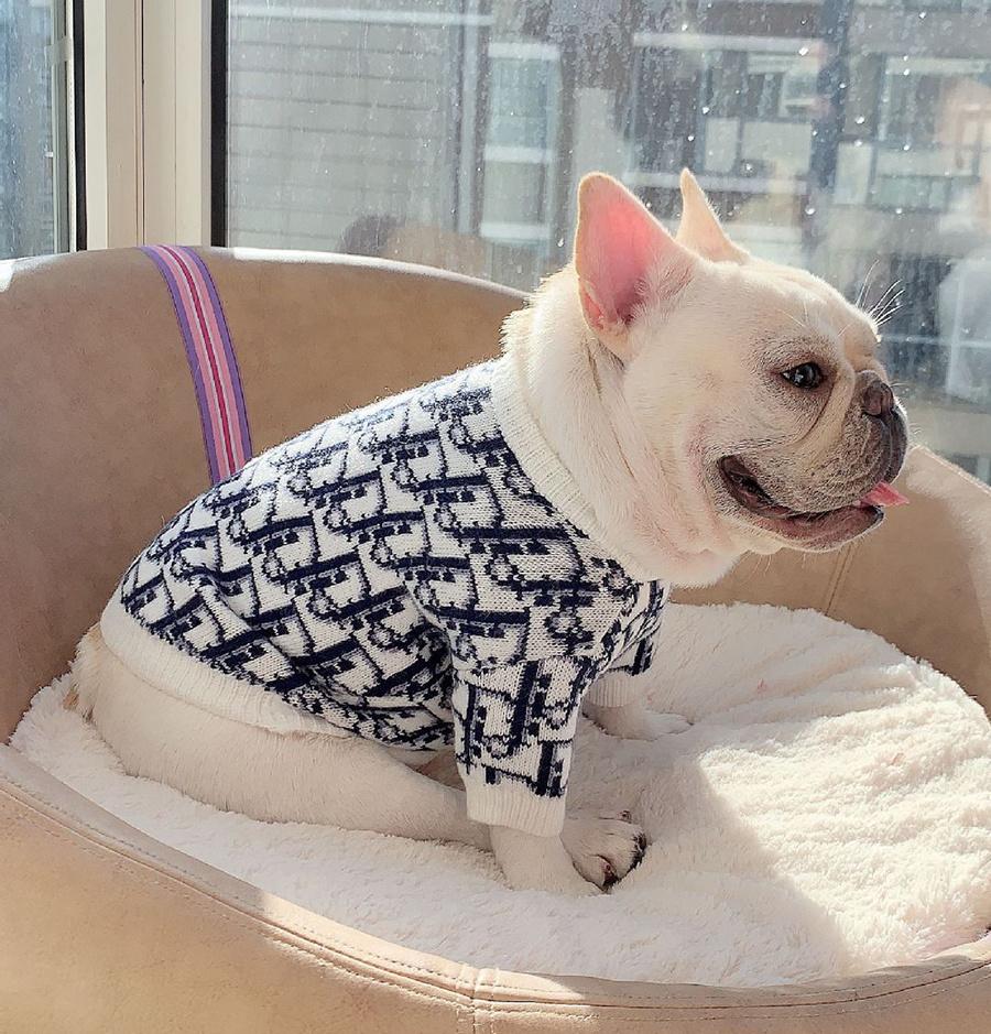 Cute Alphabet Dog Round Neck Sweater Pullover White Pet Sweater Chihuahua Poodle Corgi Shiba Inu From China Supplies