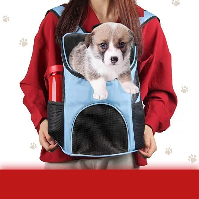 Travel Breathable Ventilated Cat Dog Carrier Backpack for Hiking Walking