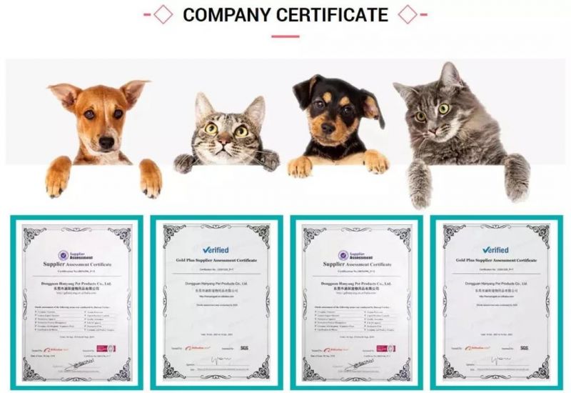 OEM Manufacturer Wholesale Polyester Webbing Padded Handle Pet Accessories Pet Dog Leash