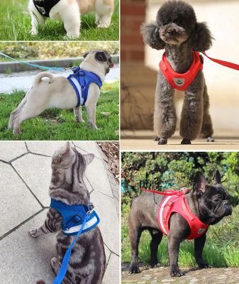 Hot Sale Color Round Rope Chest Strap Durable Nylon Belt Color Dog Leash and Harness Multicolor Pet Leash Set2 Buyers