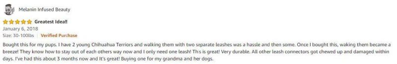 Enhanced Comfort Dual Bungee Dog Leash Double Dog Lead with Double Handle for Great Control