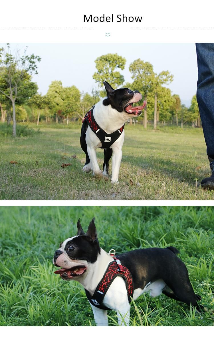 Dog Harness Breathable Mesh No Pull & No Choke Harness Vest for Small Medium Dog Adjustable