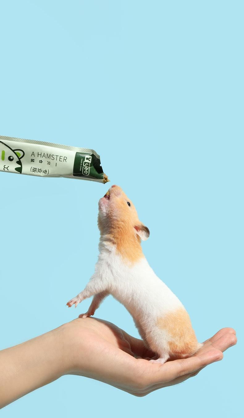 Yee Pet Snacks Chipmunk Golden Bear Rat Nutrition Food Protect Stomach