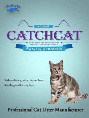 High Quality Bentonite Cat Litter by Catch Cat Brand with Super Absorption and Hard Clumping and Odor Control and Low Dust and with Scents.