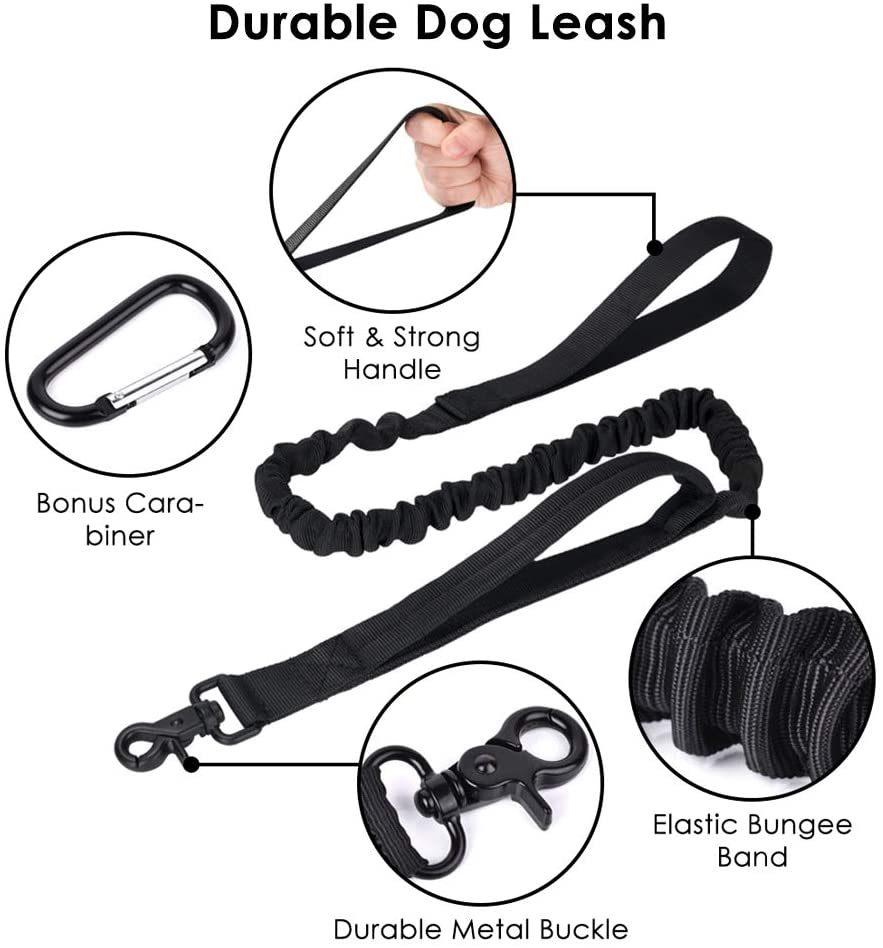 Adjustable Military Training Nylon Collar and Hands Free Heavy Duty Bungee Lead