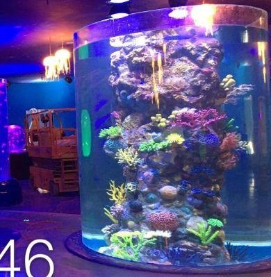 Cylindrical Acrylic Aquarium Tank Project