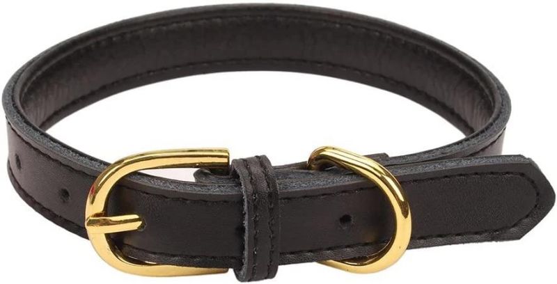 Amazon Hot Sell Basic Classic Padded Leather Pet Collars