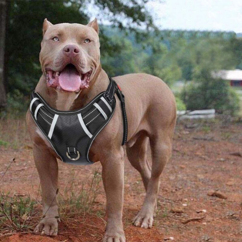 Big Dog Harness No Pull Adjustable Pet Reflective Oxford Soft Vest