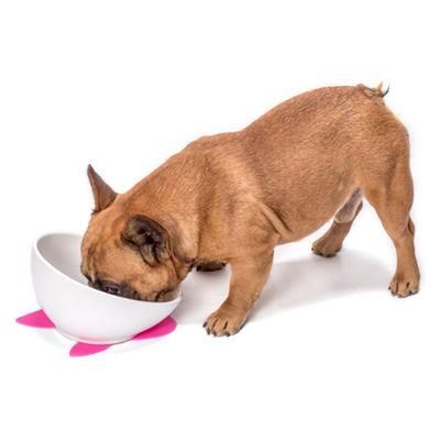 Dog Food Bowl Raised Pet Food and Water Bowl Cat and Small Dog Bowl Tilted Ceramic Water Bowl No Spill 15oz Dishwasher Safe