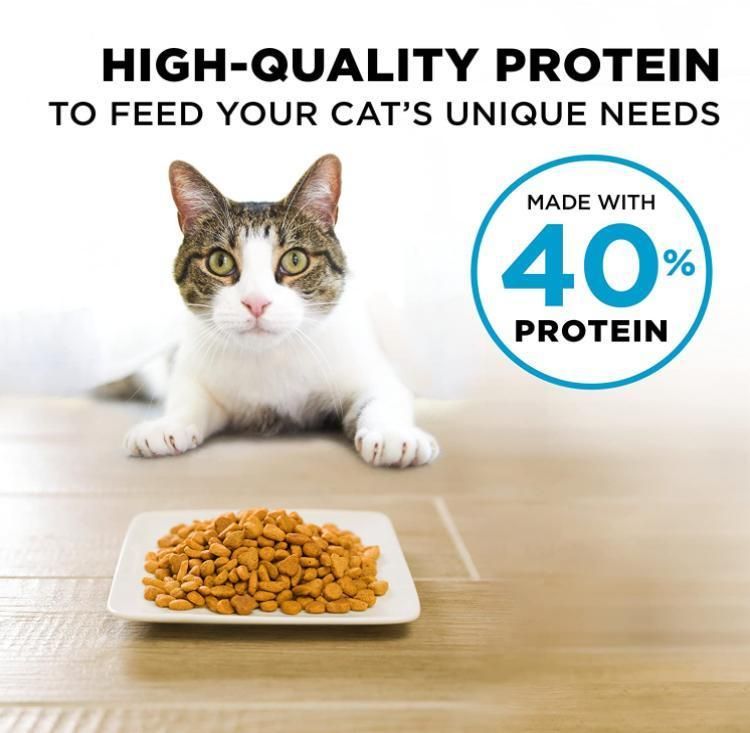 Pet Packed Dry Pet Food Dog Food Cat Food Animal Food Natural and Healthy, Easy Taking and Feeding