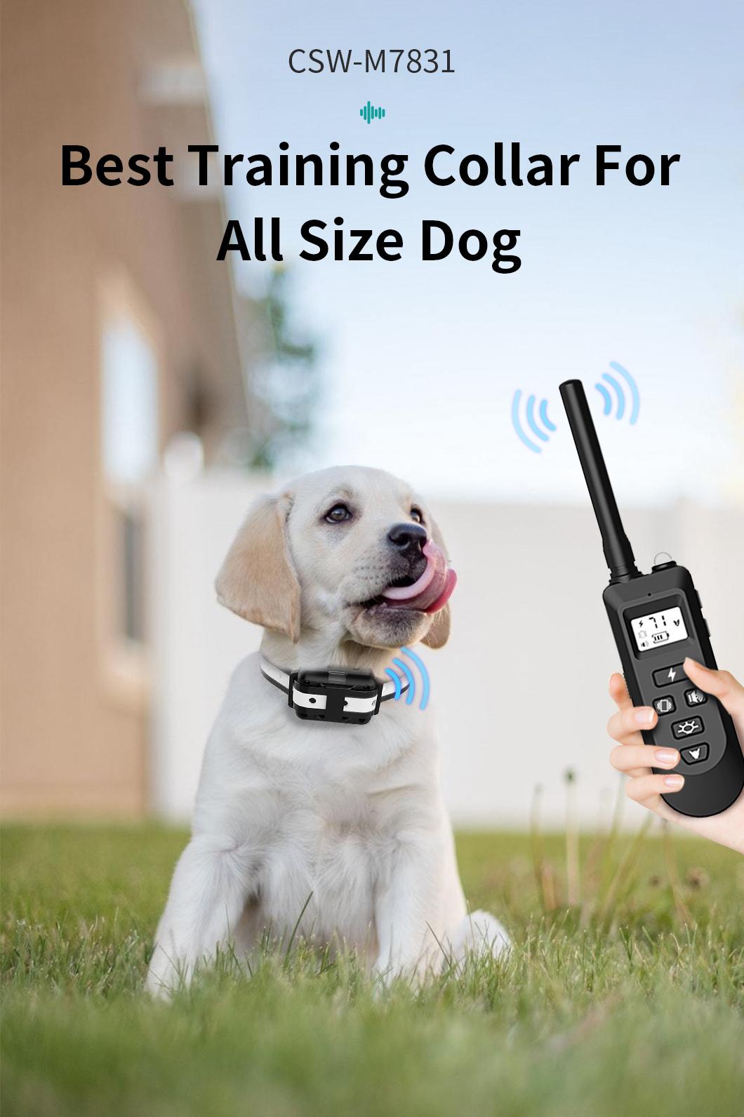 2022 Cssiwe Newest Waterproof Remote Dog Pet Training Collar