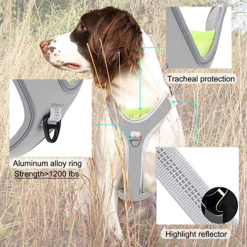 Dog Walking Harness with 2 Metal Leash Clips