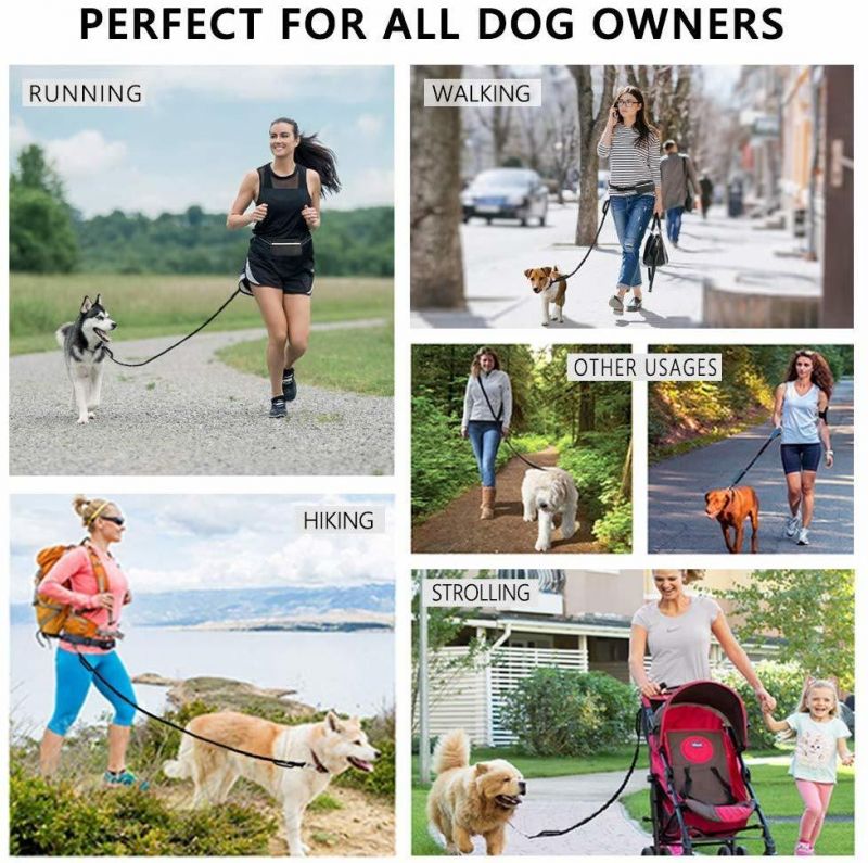 Extendable Dog Lead Comfortable Hands-Free Flexi Leash with Dual Handles