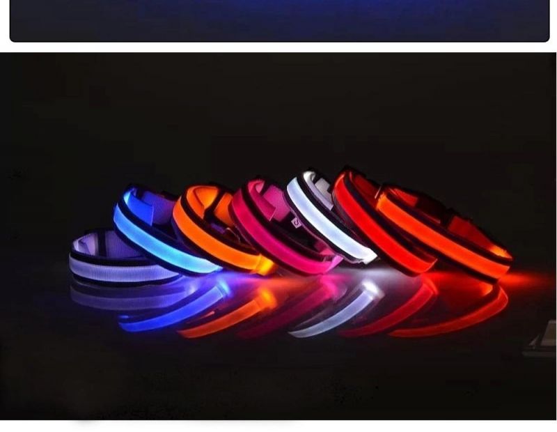 LED Pet Products Dog Cat LED Light Dog Collar