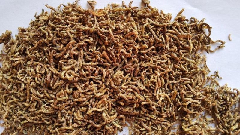 Frozen Bloodworms for Ornamental Fish