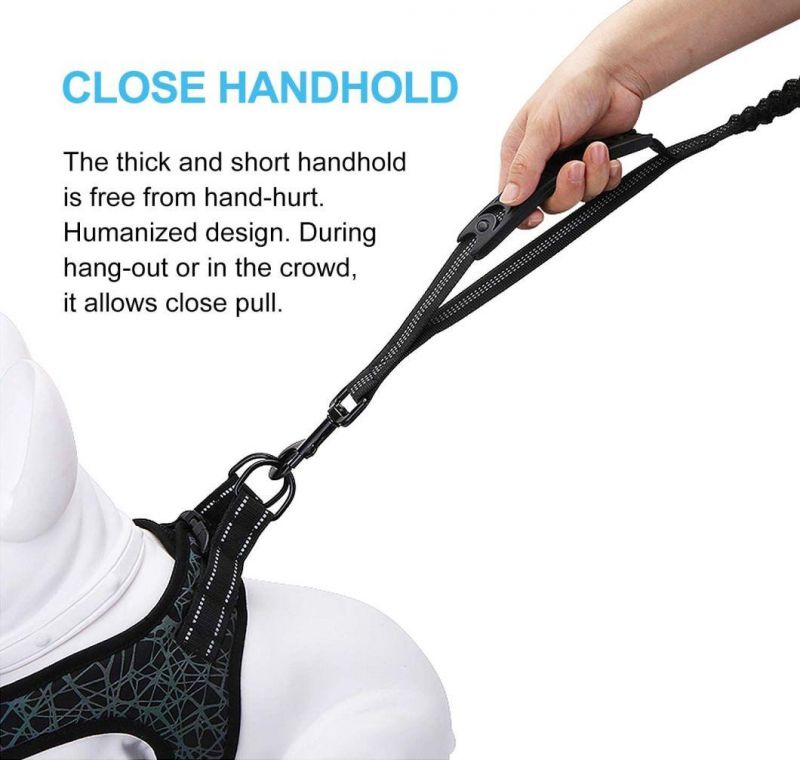 Dog Leash Shock Absorbing with Comfortable Padded Handle and Traffic Handle