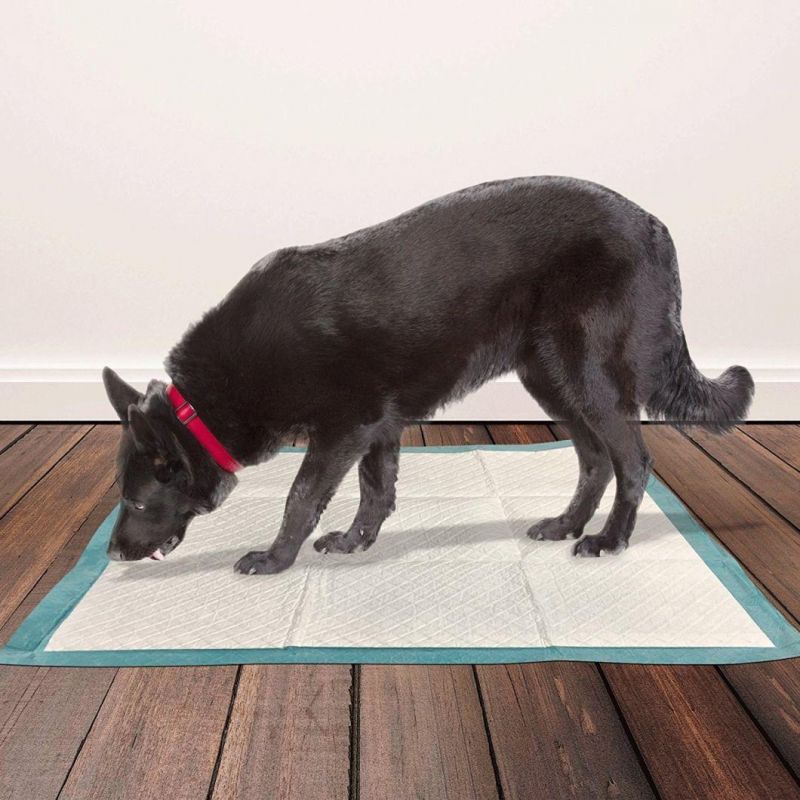 100PCS Absorbent Dog Cat Disposable Diaper Pad Mat Dogs Products