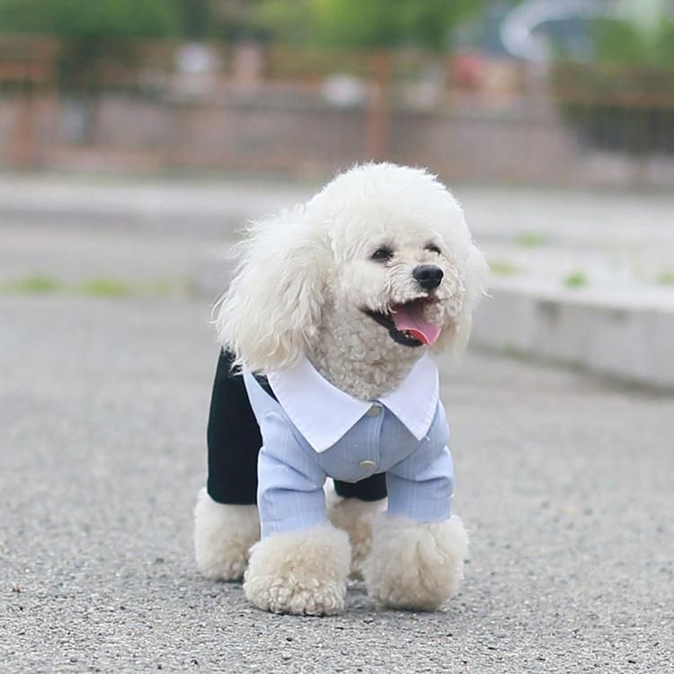 Pet Summer Clothes Four Legged Spring and Summer Thin Breathable Clothes Dog Lovers Suit